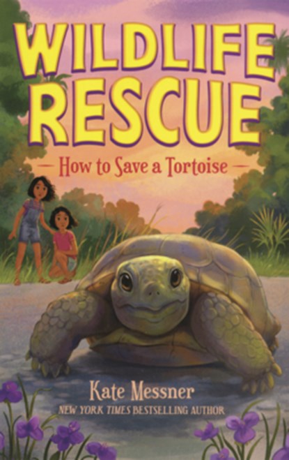 How to Save a Tortoise, Kate Messner - Gebonden - 9798260506332