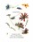 A Sunday Picnic, Hannah Johnson - Paperback - 9798262099863