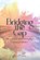 Bridging The Gap, Pinchas Winston - Paperback - 9798266514881