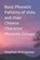 Basic Phonetic Patterns of zhou and zhào Chinese Character Phonetic Groups, Stephen M Kraemer - Paperback - 9798267589642