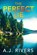 The Perfect Lie, A. J. Rivers - Paperback - 9798274669382