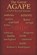 The Great AGAPE, Robert L Rodriguez - Paperback - 9798278750970