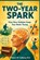 The Two Year Spark, Robert M Gullberg - Paperback - 9798282027525
