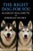 The Right Dog For You, Aaron Hall - Paperback - 9798285161752