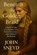 Beneath the Golden Braid, John Sneyd - Paperback - 9798286934027