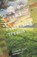 Candide, Jamey Levier - Paperback - 9798289521644