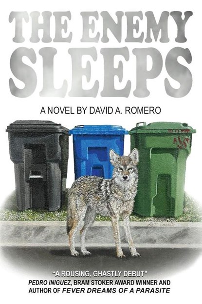 The Enemy Sleeps, David A. Romero - Paperback - 9798295447471