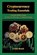 Cryptocurrency Trading Essentials, Linda Beach - Paperback - 9798295470639