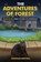 The Adventures of Forest, Jonathan Winchell - Paperback - 9798295530357