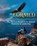 Formed, Netreia D Carroll - Paperback - 9798295748738
