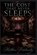 The Cost That Never Sleeps, Matthew Petchinsky - Paperback - 9798295875229