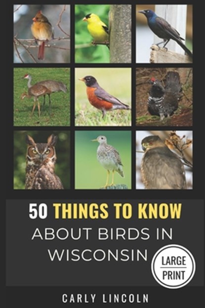 50 Things to Know About Birds in Wisconsin Large Print: Birding in the Badger State, 50 Things to Know - Paperback - 9798301288135