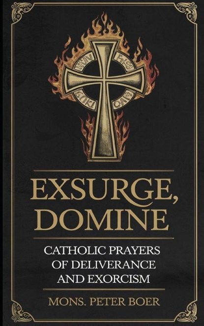 Exsurge, Domine, Mons. Peter Boer - Paperback - 9798301685446