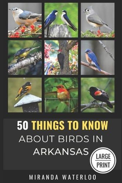 50 Things to Know about Birds in Arkansas Large Print: Birding in the Natural State, 50 Things to Know - Paperback - 9798303397064