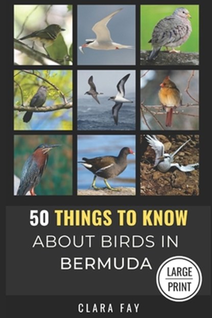 50 Things to Know About Birds in Bermuda Large Print: Birding in a Sub-tropical Paradise, 50 Things to Know - Paperback - 9798303905115
