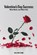 Valentine's Day Success, Killian Flinn - Paperback - 9798309610532