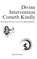 Divine Intervention Cometh Kindly, Rich K Rubio - Paperback - 9798310683921