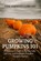 Growing Pumpkins 101: A Beginner's Guide to Successful Cultivation, Farmer's Library - Paperback - 9798313500683