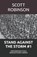 Stand Against the Storm, Scott Robinson - Paperback - 9798313681351