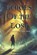 Echoes of the Lost, David Ray - Paperback - 9798313951195