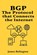 Bgp: The Protocol that Connects the Internet, James Relington - Paperback - 9798316181599