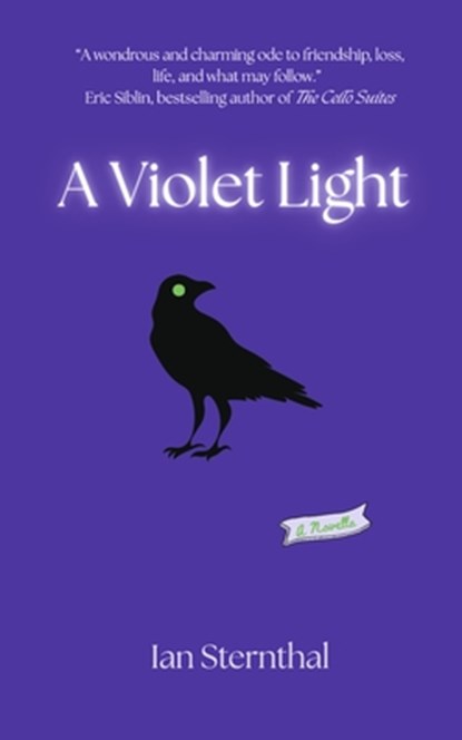 A Violet Light, Ian Sternthal - Paperback - 9798317809164