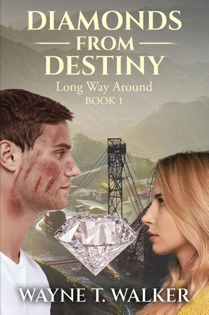 Diamonds From Destiny, Wayne T. Walker - Paperback - 9798318800610