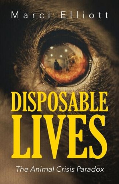 Disposable Lives, Marci Elliott - Paperback - 9798318815096
