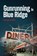 Gunrunning in Blue Ridge, Cynthia Kitt - Paperback - 9798318828966
