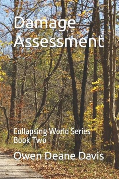Damage Assessment, Owen Deane Davis - Paperback - 9798320924670