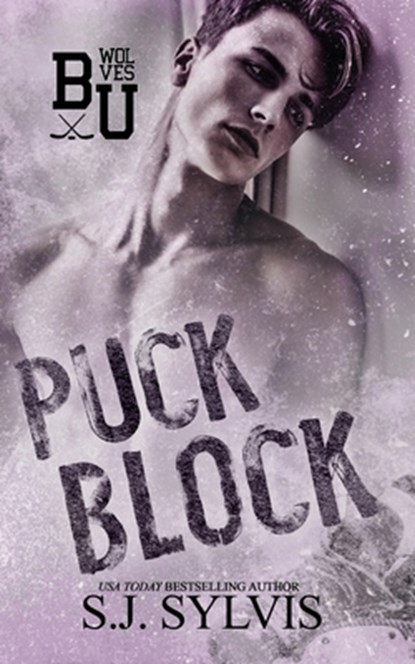 Puck Block: A Brother's Best Friend Hockey Romance, Sj Sylvis - Paperback - 9798323207466