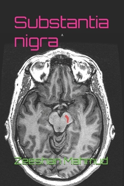 Substantia nigra, Zeeshan Mahmud - Paperback - 9798323431175