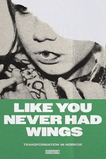 Like You Never Had Wings: Transformations In Horror, Joe Koch - Paperback - 9798330263196