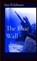 The Blue Wall, Ian Feldman - Paperback - 9798330417032