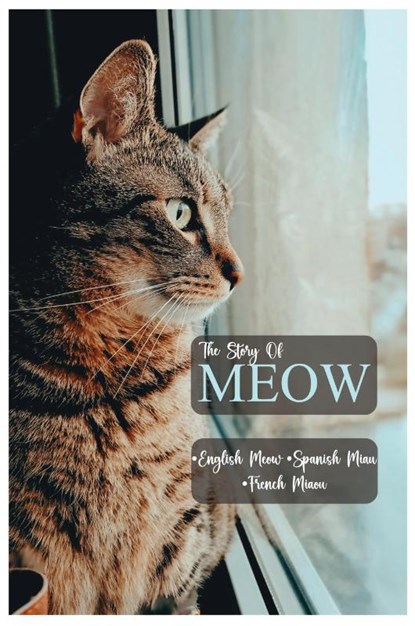 Meow the story of Meow, Debasis Raha - Paperback - 9798330437047
