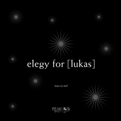 elegy for [lukas], Luna Rey Hall - Paperback - 9798330444984