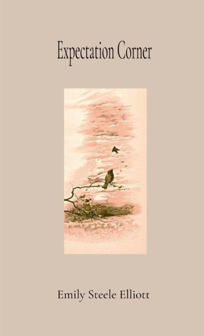 Expectation Corner ANNOTATED GIFT EDITION, Emily Steele Elliott - Paperback - 9798330566990