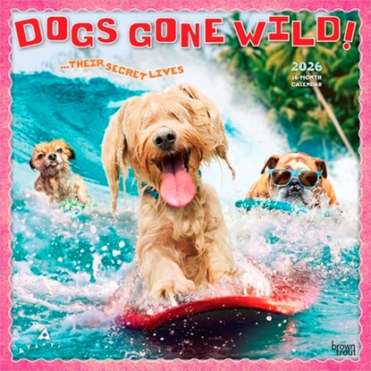 Avanti Dogs Gone Wild 2026 Square Flap Calendar, Browntrout - Paperback - 9798330701445