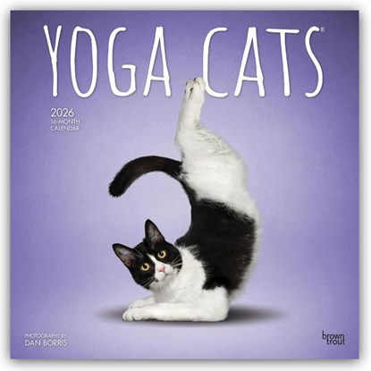 Yoga Cats 2026 Square Flap Calendar, Browntrout Publishers Inc - Paperback - 9798330701919