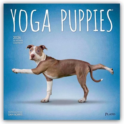 Yoga Puppies 2026 Square Plato Calendar, Browntrout Publishers - Paperback - 9798330701995