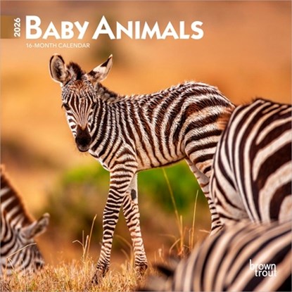 Baby Animals 2026 Mini 7x7 Calendar, Browntrout - Paperback - 9798330702237