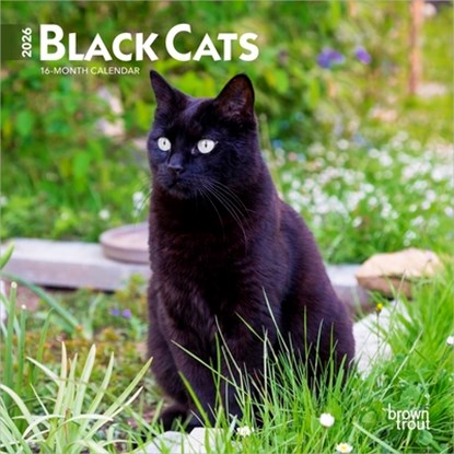Black Cats 2026 7 X 14 Inch (Hanging) Monthly Mini Wall Calendar, Browntrout - Gebonden - 9798330702473