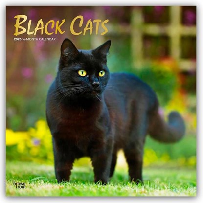 Black Cats - Schwarze Katzen 2026 - 16-Monatskalender, Browntrout Publishers - Paperback - 9798330702480