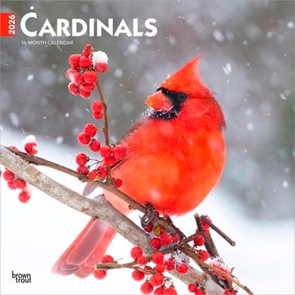 Cardinals 2026 12 X 24 Inch (Hanging) Monthly Square Wall Calendar Plastic-Free, Browntrout - Gebonden - 9798330702749