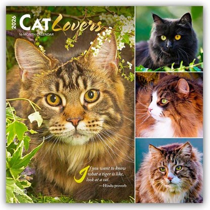 Cat Lovers 2026 Square Flap Foil Calendar, Browntrout Publishers - Paperback - 9798330702787
