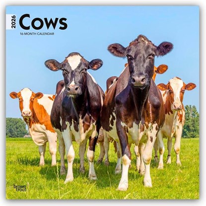 Cows 2026 Square Flap Calendar, Browntrout Publishers - Paperback - 9798330703067