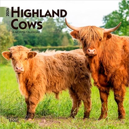 Highland Cows 2026 7 X 14 Inch (Hanging) Monthly Mini Wall Calendar, Browntrout - Gebonden - 9798330703623