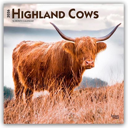 Highland Cows 2026 Square Flap Calendar, Browntrout Publishers - Paperback - 9798330703630