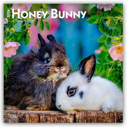 Honey Bunny - Süße Häschen 2026 - 16-Monatskalender, Browntrout Publishers - Paperback - 9798330703654