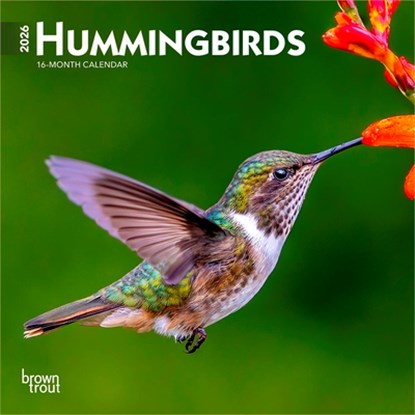 Hummingbirds 2026 7 X 14 Inch (Hanging) Monthly Mini Wall Calendar, Browntrout - Gebonden - 9798330703791
